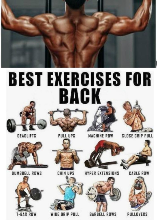 back day gym workout plan
